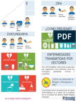 Folleto Enfermedades Por Vectores