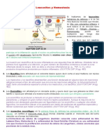 Leucocitos Fisiologia Completo