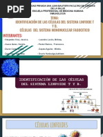 Inmunología - Seminario 1 .