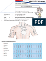 Tarea La Circulacion