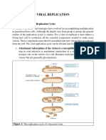 4.Virology-Virus Replication