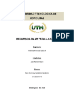 Recursos Laborales PDF