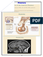 Endocrine Passmedicine & Onexamination Notes 2016 PDF