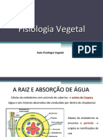 Fisiologia Vegetal