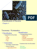 Classification of Bacteria