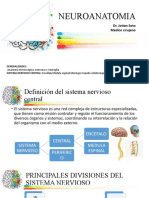 NEUROANATOMIA DR - Jottan