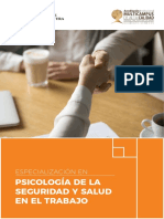 Programa Especialización PSISST FINAL PDF