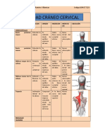 Actividad Odonto