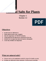 Mineral Salts For Plants-2 PDF