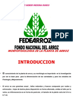 Morfofisiologia2012 PDF