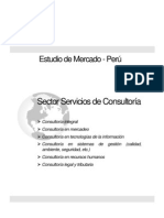 Estudio de Servicios de Consultoria en El Perú