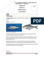 Practica 10 Informe Necton - Angel