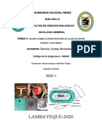 Tarea 4.ultra Estructura de Flagelos Entre Hongos y Bacterias.
