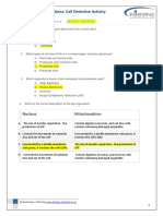 IB Style Exam Questions: Cell Detective Activity: Multiple Choice Questions MODEL ANSWERS