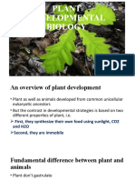 Plant Development - An Overview