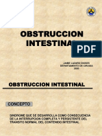 Obstruccion Intestinal 2020 PDF