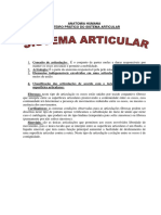 Prática Do Sistema Articular