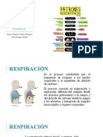 Frecuencia Respiratoria