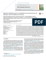 Diaporthe Endophytica and D Terebinthifolii From Medicinal - 2016 - Microbiolog