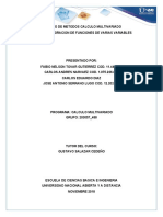 Calculo Multivariado 203057 - 48 - Colaborativo - Fase - 3