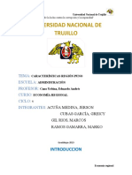 Informe Region Puno