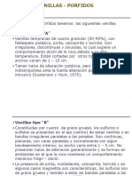 5 Tipos de Venillas en Porfidos