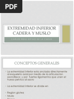 EXTREMIDAD INFERIOR CADERA y Muslo