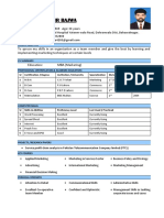 Muhammad Amir Bajwa CV