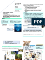 Fisiopatología de La Epilepsia