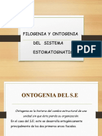 Filogenia y Ontogenia Del Sistema Estomatognatico