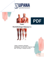 Morfofisiología Humana I y II