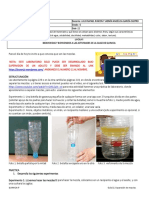 Guia 11 Sexto Quimica PDF