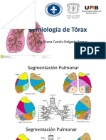 Semiologia de Tórax Link Ruidos Respiratorios