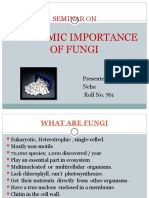 Economic Importance of Fungi: Seminar ON