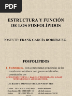 Estructura Y Función de Los Fosfolípidos: Ponente: Frank García Rodríguez