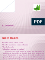 El Toronjil