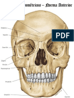 Puntos Craneometricos