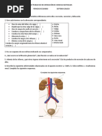 Actividad de Recuperación de Ciencias Naturales Excreción