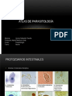 Atlas de Parasitología