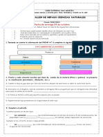 Taller Ciencias #6