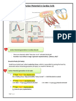 Action Potential Generation in Cardiac Muscle