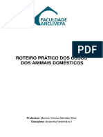 PDF - Tudo - Roteiro de Ossos Anclivepa - Esqueleto Axial