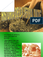 Historia de La Yerba Mate