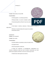 Lâminas de Bases Biológicas I