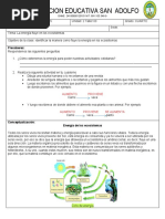 Taller 03 Grado Cuarto Ciencias Naturales