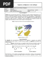 Aula 9-Lignanas - Neolignanas - Análogos