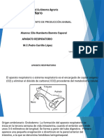 Sistema Respiratorio - Elio - Barreto