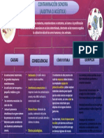 Mapa Conceptual Contamminacion