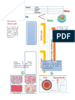 Guia #2 - Ciclo 3 - Biología - Cuarto Periodo