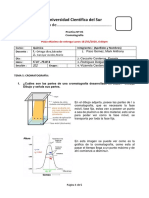 Semana 6INF 05 Cromatografia Laboratorio Ok